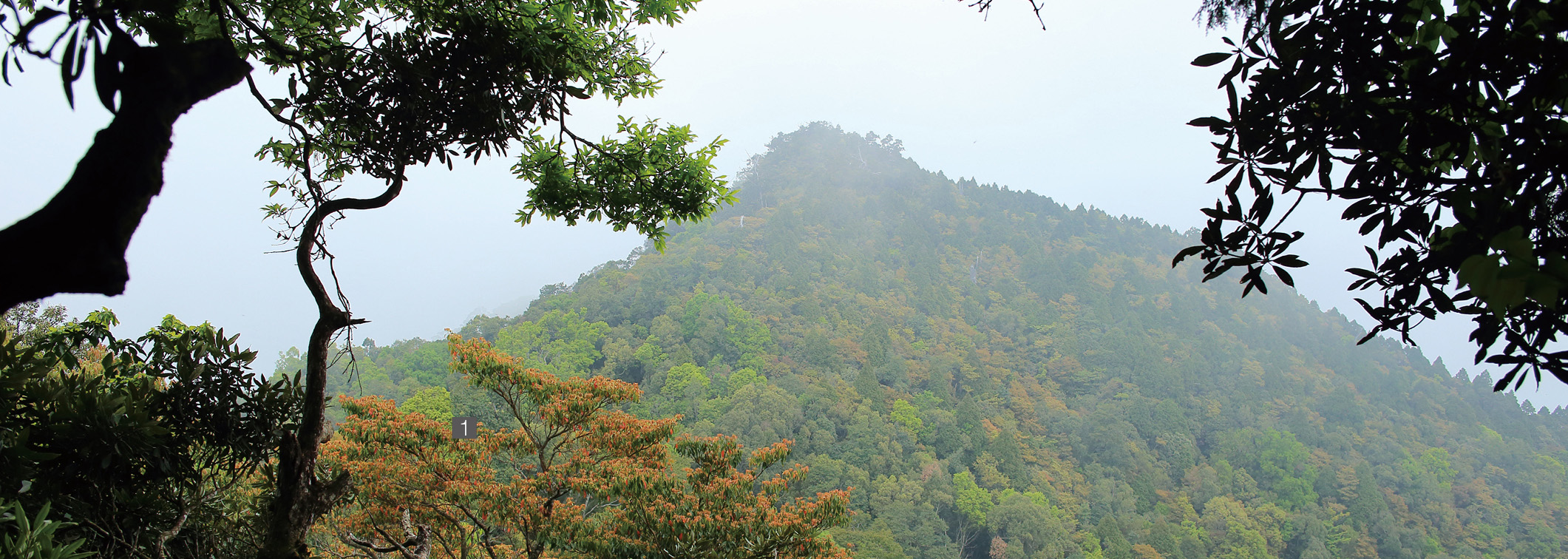 從中島田山峰回望小島田山峰