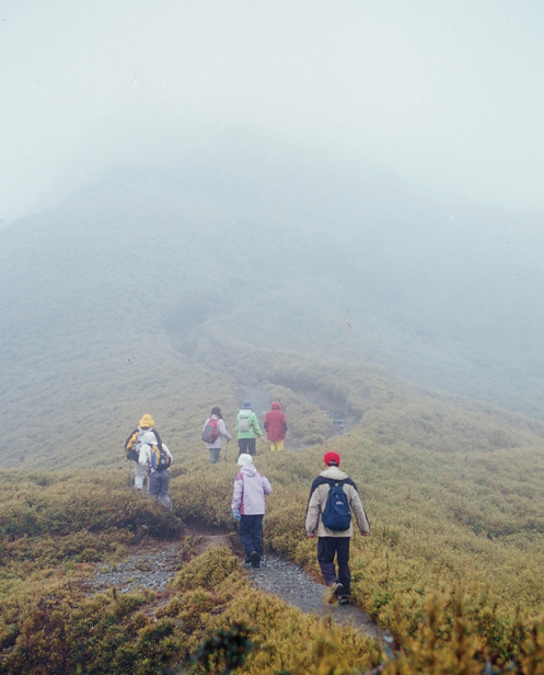 濃密德山嵐中的高山箭竹坡容易迷路，僅記沿著較多腳印的路走比較正確