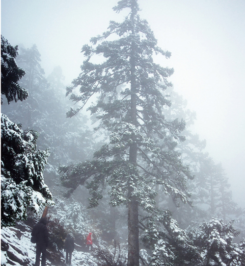 臺灣山友一方面要增添雪地裝備，一方面要注意管理單位有無開放雪期登山