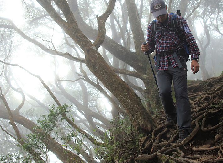 內鳥嘴山屬中級山，卻比北插天山好走許多