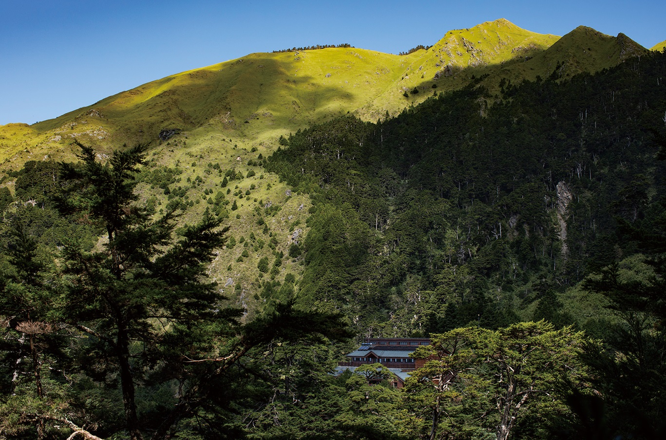 有此美景，相信許多山友都是只願身在此山中