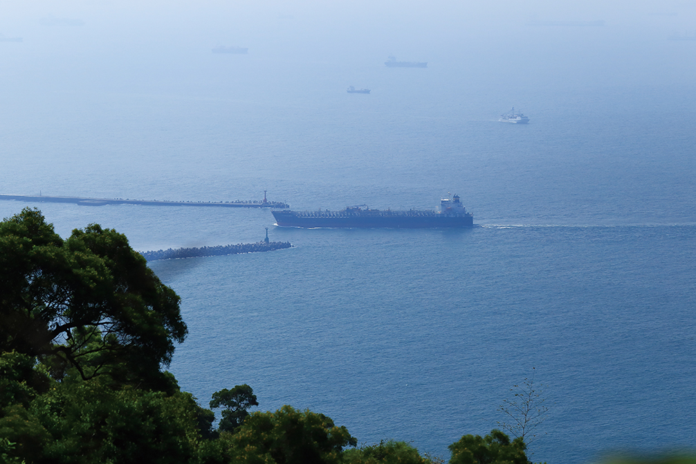 從壽山眺望大型貨櫃輪進出高雄港