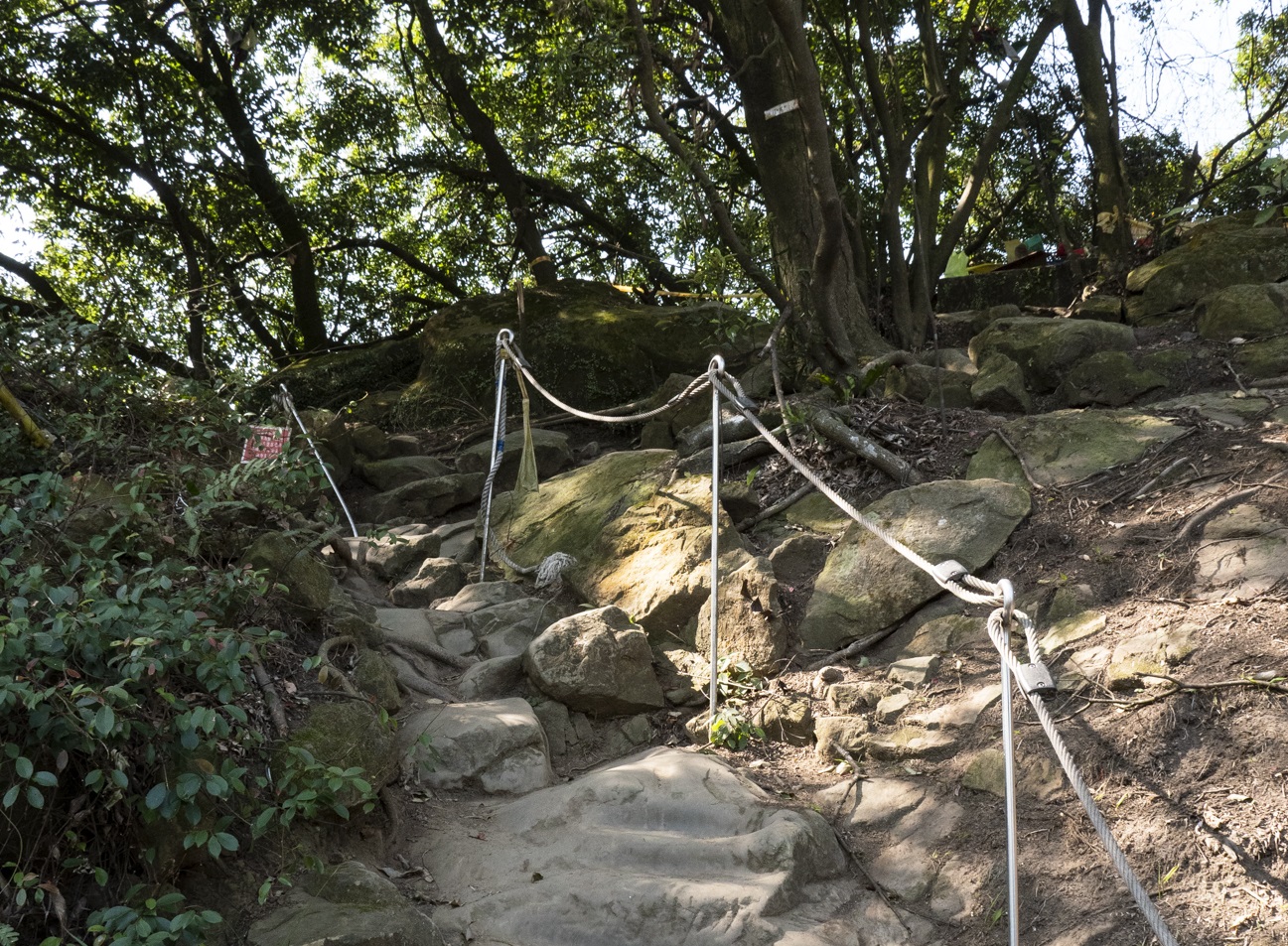 鳶山連峰的步道大致都相當自然，但人工扶手、拉繩也不少，因此算是相當安全