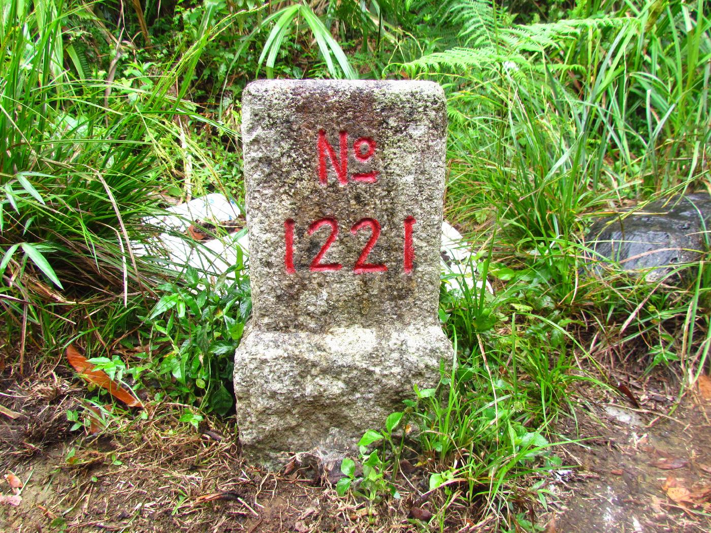 二等三角點1221號基石(2026/1/1起唯一認證點)